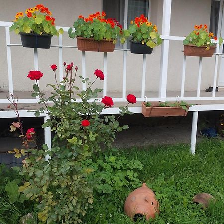 Guest House Lela Rezo Казбеги Екстериор снимка